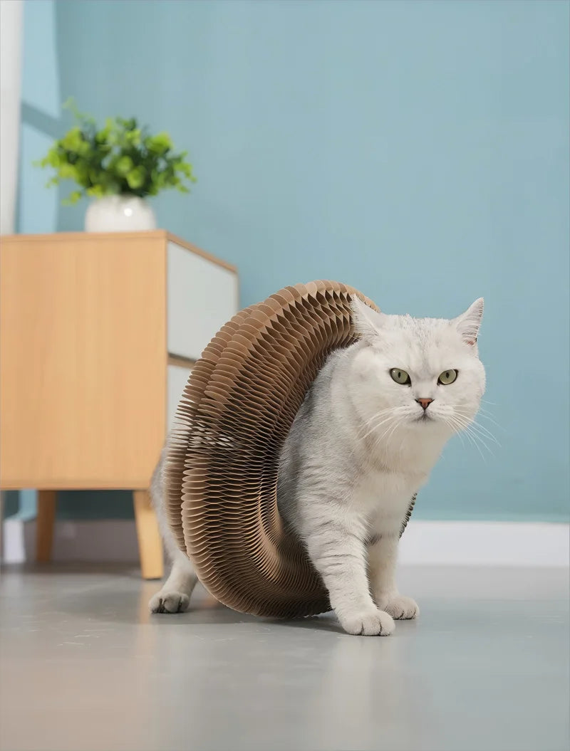 Grattoir pour chat en carton pliable et recyclable avec forme modulable
