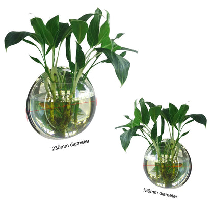 Aquarium mural en acrylique pour poissons – bol suspendu décoratif 15 ou 23 cm pour intérieur