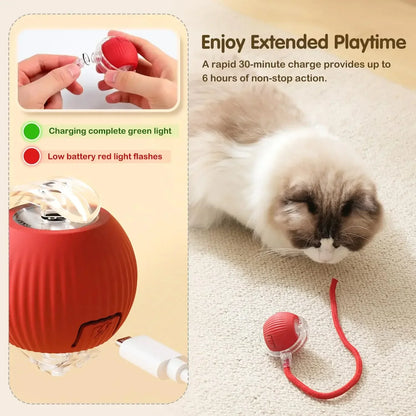 Balle interactive intelligente pour chat et chien – jouet automatique roulant avec capteur et recharge USB