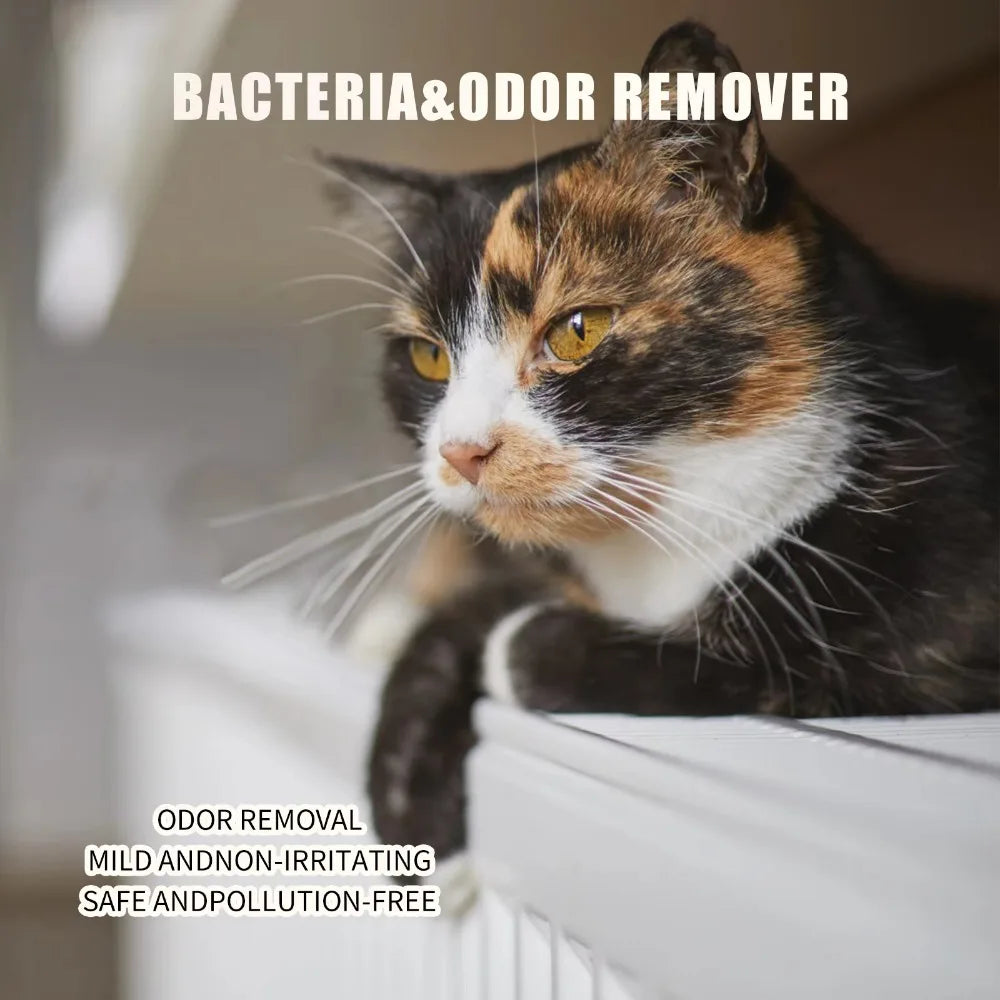 Spray parfumé pour chien et chat 100 ml – désodorisant doux pour animaux