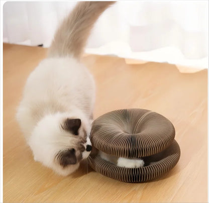 Grattoir pour chat en carton pliable et recyclable avec forme modulable