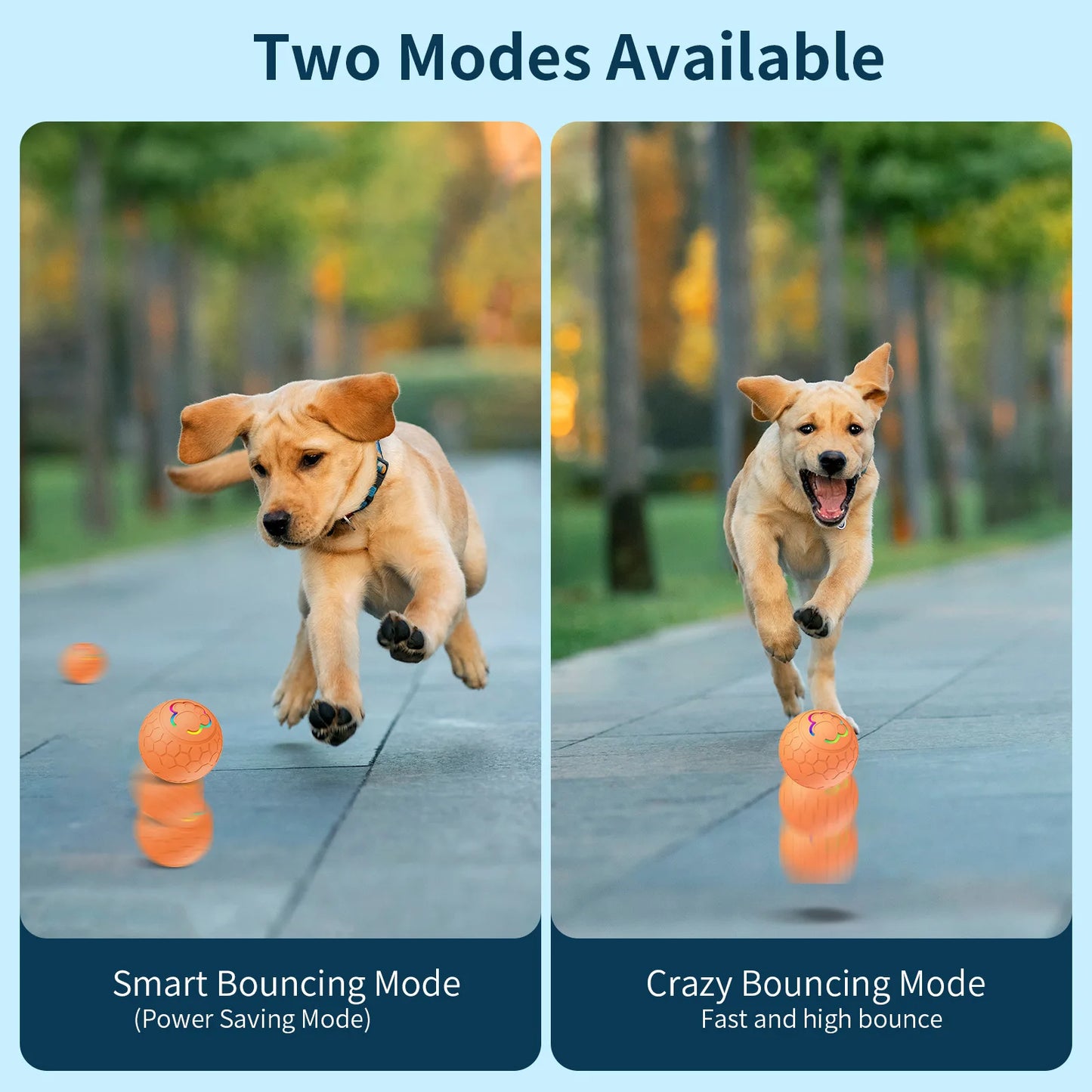 Balle interactive pour chien et chat – jouet automatique roulant et rebondissant avec capteur intelligent