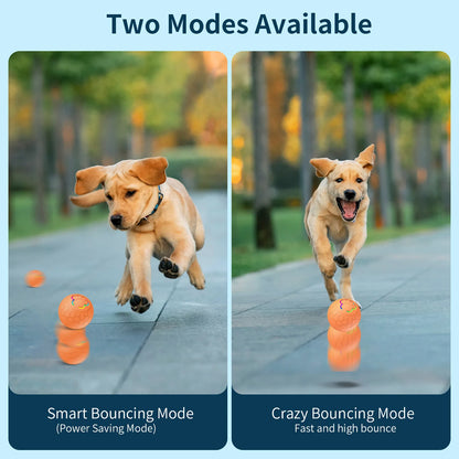 Balle interactive pour chien et chat – jouet automatique roulant et rebondissant avec capteur intelligent