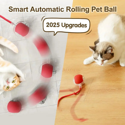 Balle interactive intelligente pour chat et chien – jouet automatique roulant avec capteur et recharge USB