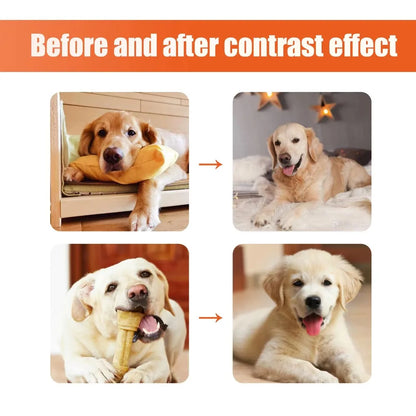 Spray parfumé pour chien et chat 100 ml – désodorisant doux pour animaux