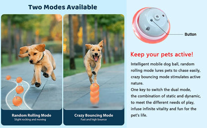 Balle interactive pour chien et chat – jouet automatique roulant et rebondissant avec capteur intelligent