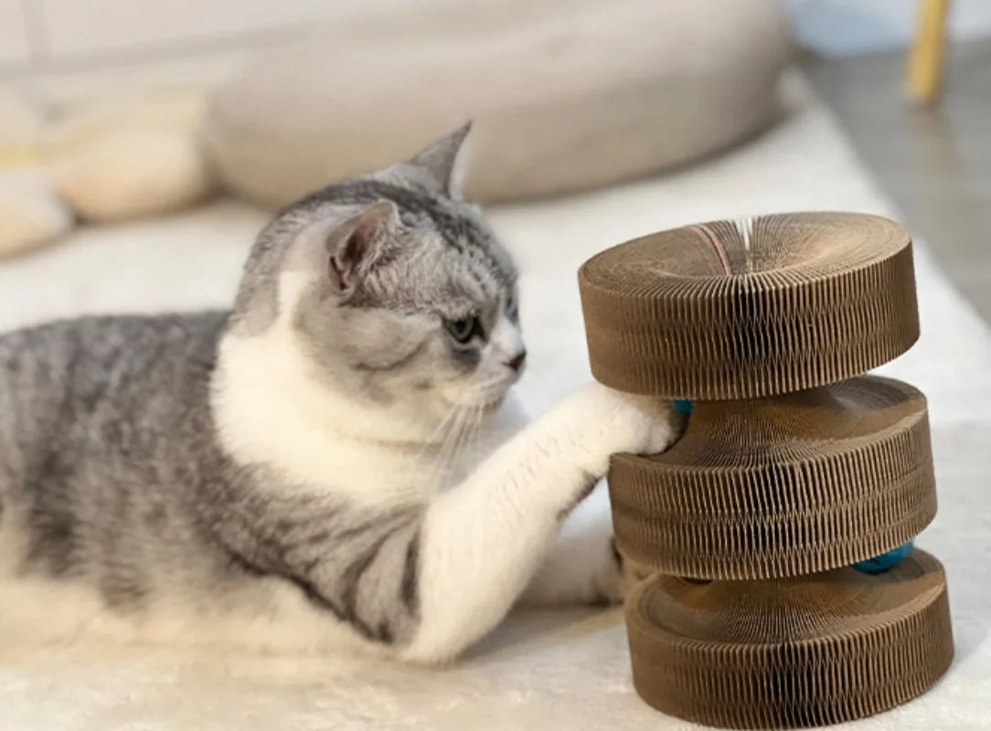 Grattoir pour chat en carton pliable avec balle interactive et structure accordéon