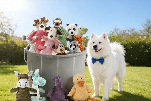 Jouet en peluche pour chien – jouet à mâcher et de jeu en tissu