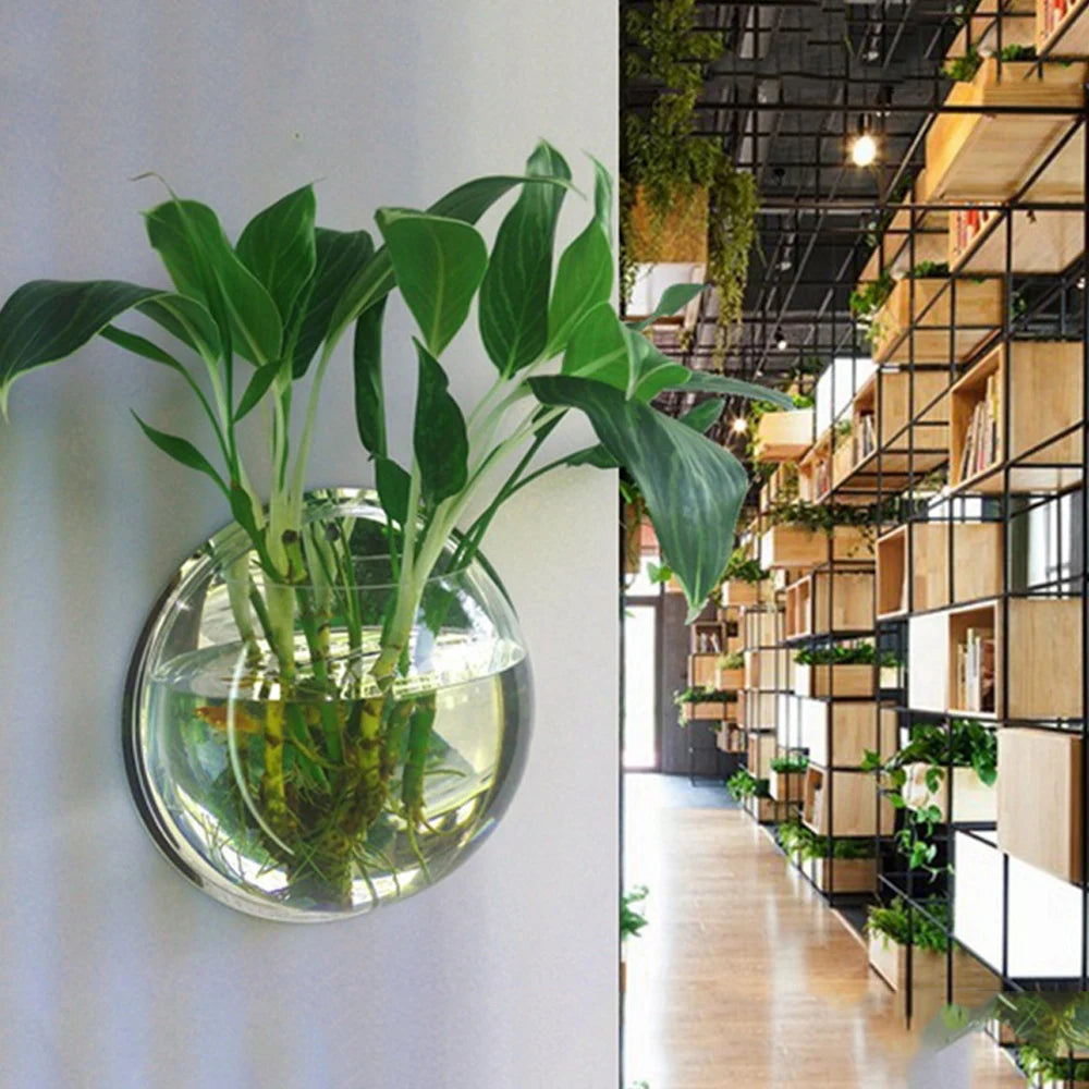 Aquarium mural en acrylique pour poissons – bol suspendu décoratif 15 ou 23 cm pour intérieur