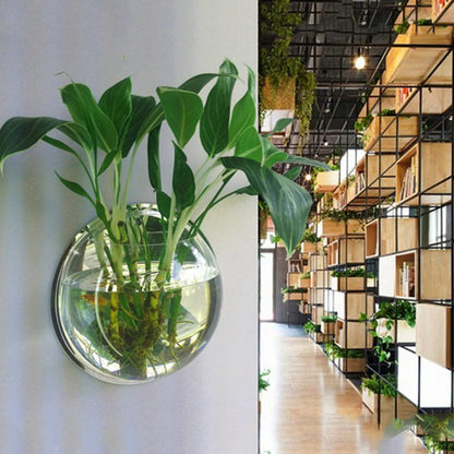 Aquarium mural en acrylique pour poissons – bol suspendu décoratif 15 ou 23 cm pour intérieur