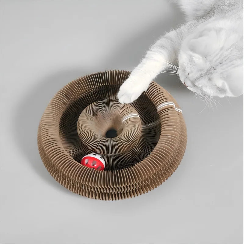 Grattoir pour chat en carton pliable et recyclable avec forme modulable