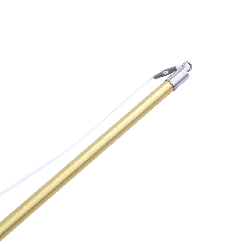 Canne à pêche interactive pour chat et petit chien – jouet à plumes télescopique avec recharges