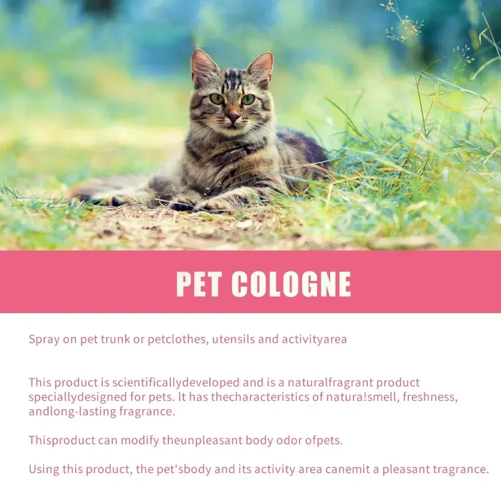 Spray parfumé pour chien et chat 100 ml – désodorisant doux pour animaux