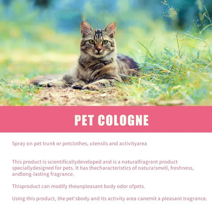 Spray parfumé pour chien et chat 100 ml – désodorisant doux pour animaux