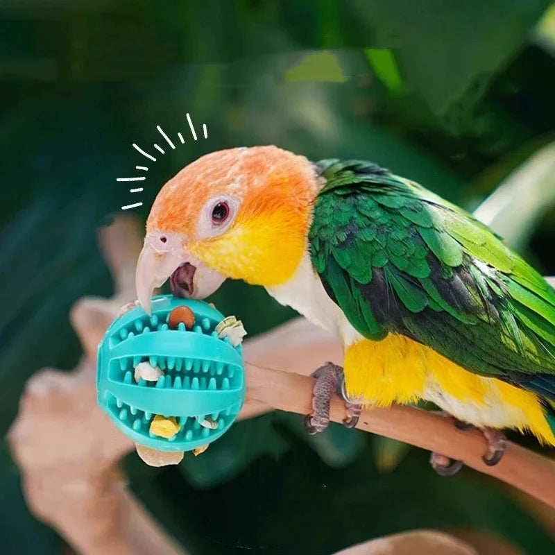 Balle en caoutchouc pour chien et chat – jouet résistant pour mâcher, lancer et jouer au quotidien