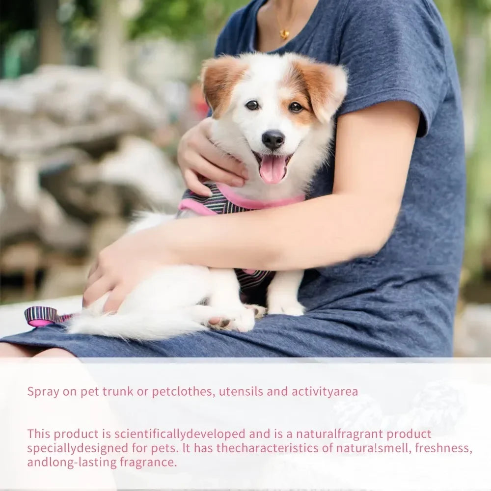 Spray parfumé pour chien et chat 100 ml – désodorisant doux pour animaux