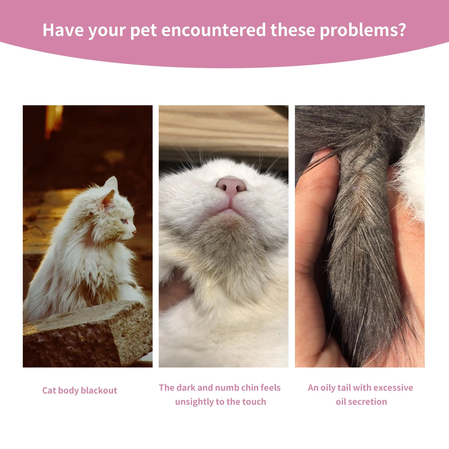 Spray parfumé pour chien et chat 100 ml – désodorisant doux pour animaux