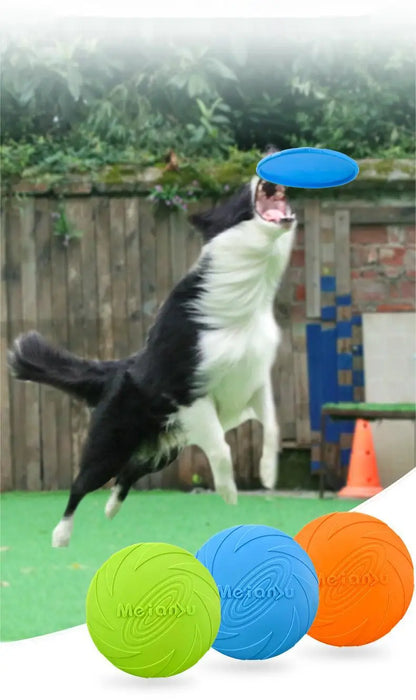 Frisbee résistant pour chien et chat – jouet de lancer et d’entraînement extérieur