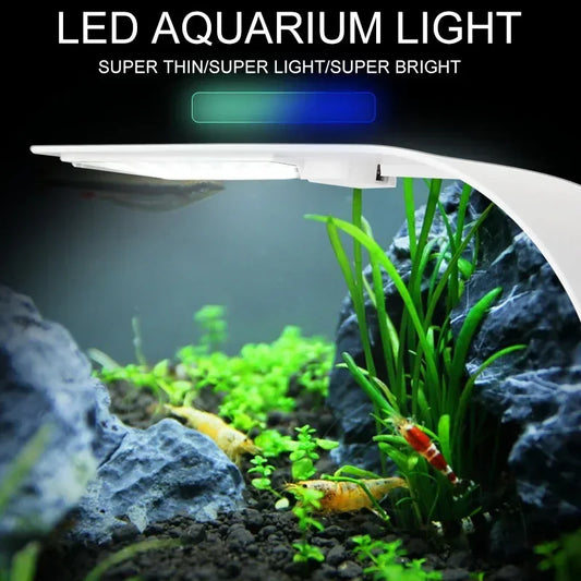 Éclairage LED aquarium ultra fin à pince pour plantes aquatiques et poissons