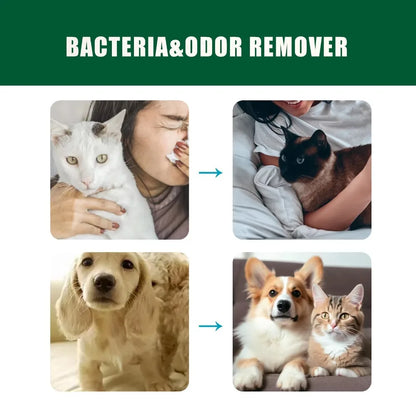 Spray parfumé pour chien et chat 100 ml – désodorisant doux pour animaux