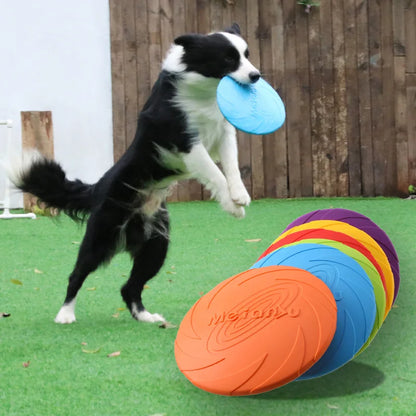 Frisbee résistant pour chien et chat – jouet de lancer et d’entraînement extérieur