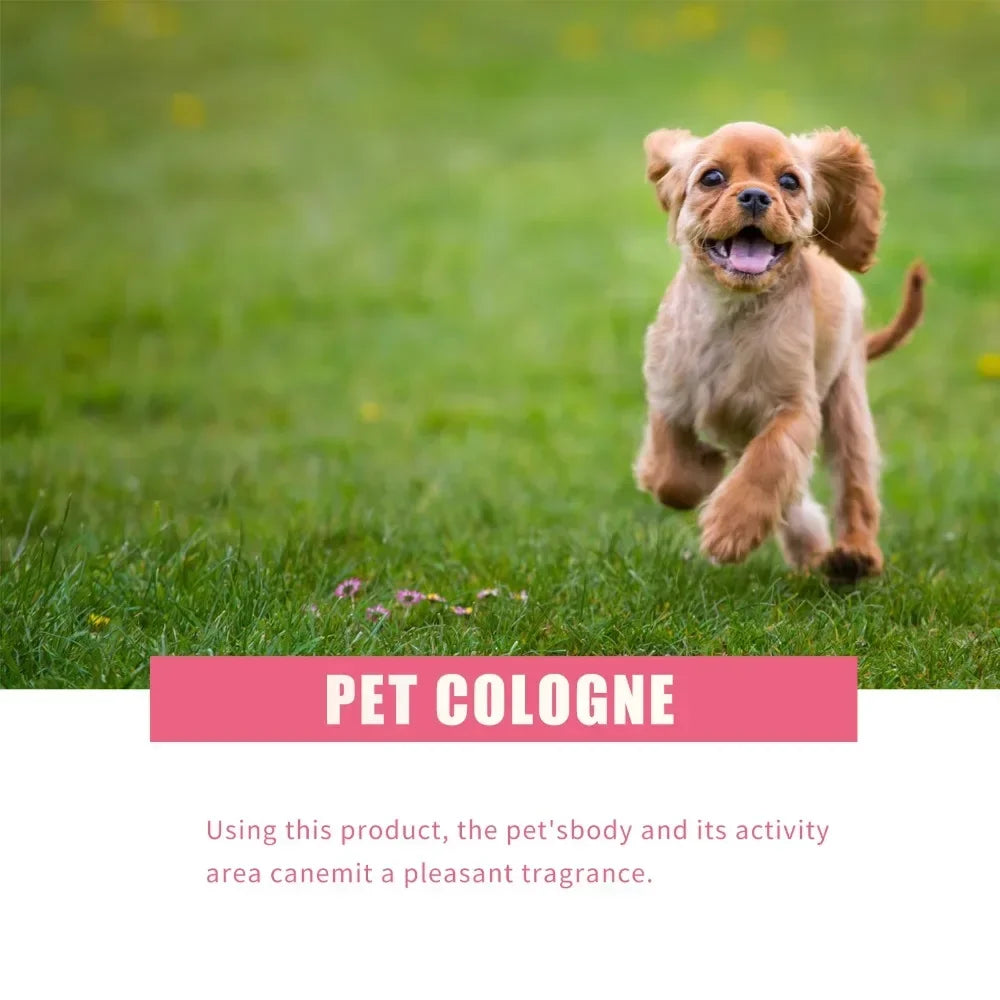 Spray parfumé pour chien et chat 100 ml – désodorisant doux pour animaux