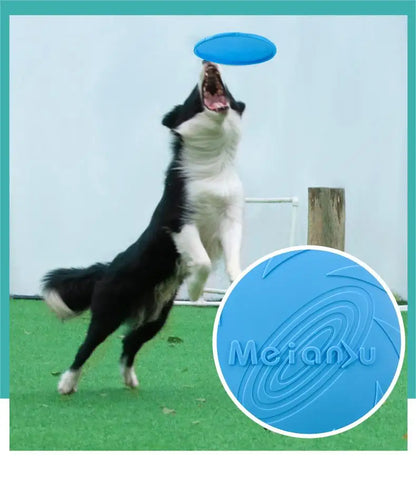 Frisbee résistant pour chien et chat – jouet de lancer et d’entraînement extérieur