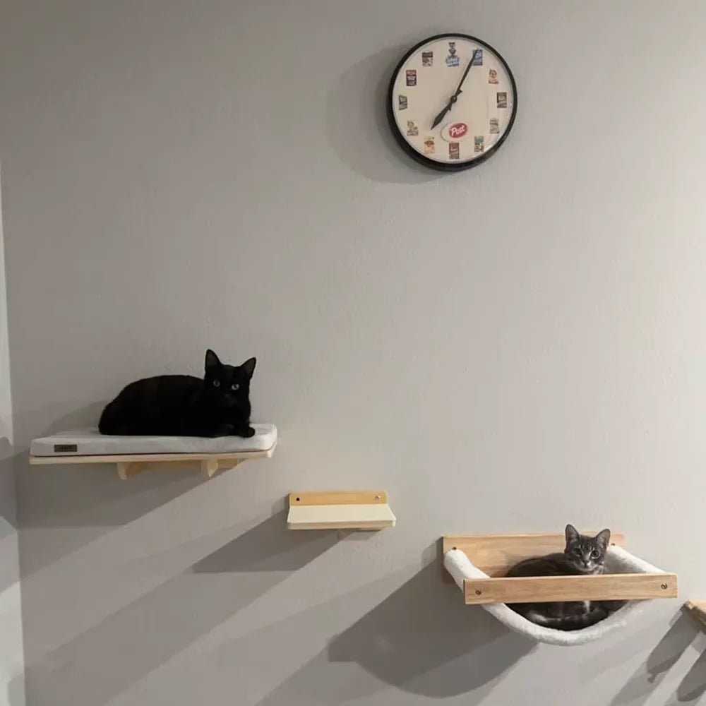 Arbre à chat mural en bois avec étagères, griffoir en sisal et hamac – aire de jeu d’intérieur pour chat