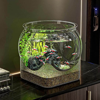 Aquarium rond de table en plastique résistant