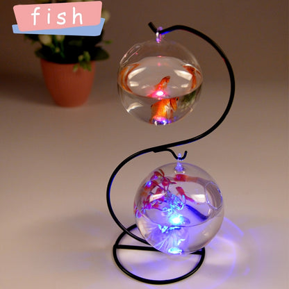 Aquarium suspendu de table avec support en métal – mini aquarium en verre avec deux récipients ronds