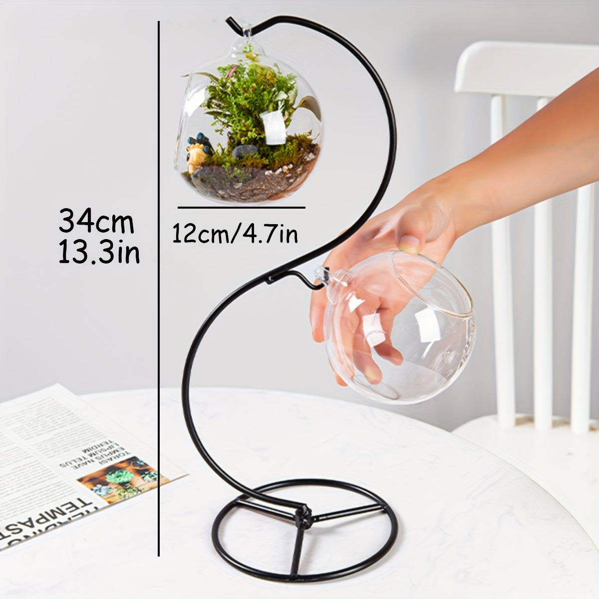 Aquarium suspendu de table avec support en métal – mini aquarium en verre avec deux récipients ronds